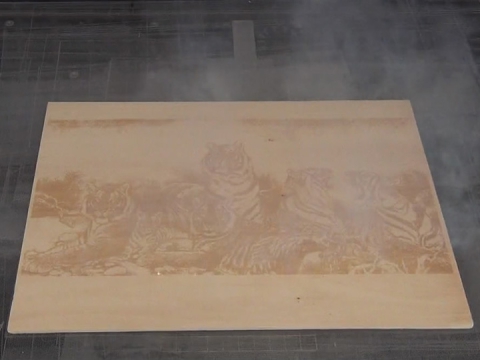 工業(yè)級 CO2 木版印刷激光打標機