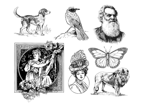 免費 2D/3D激光蝕刻機的激光雕刻矢量文件